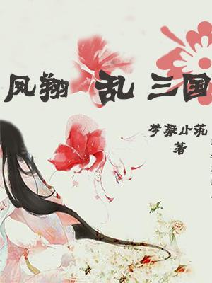 凤翔乱三国 封面