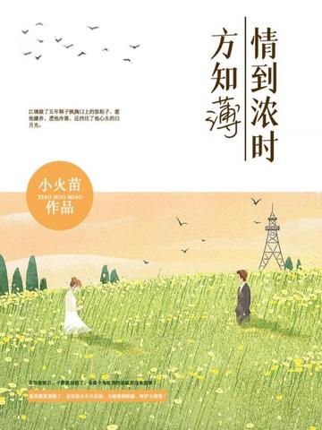 情到浓时方知薄 封面