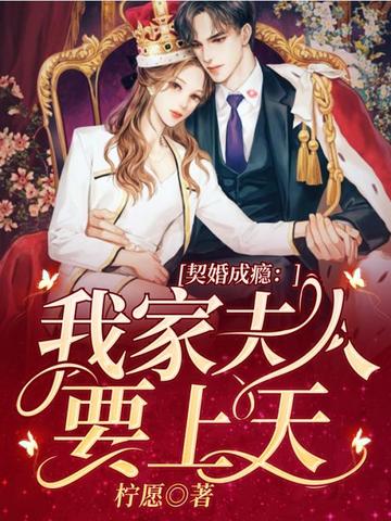 我家夫人要上天 封面