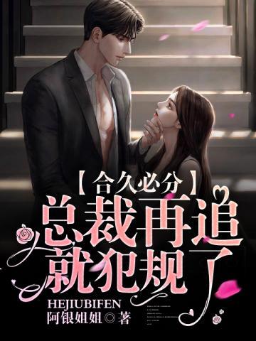 总裁再追就犯规了 封面