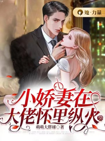 小娇妻在大佬怀里纵火 封面