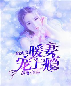 一婚到底暖妻宠上瘾 封面
