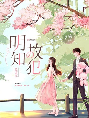 明知故犯 封面