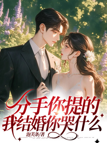 分手你提的,我结婚你哭什么 封面