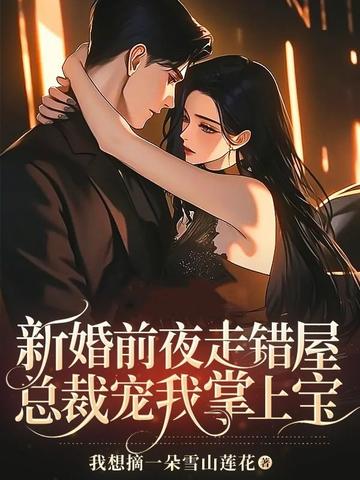 新婚前夜走错屋，总裁宠我掌上宝 封面