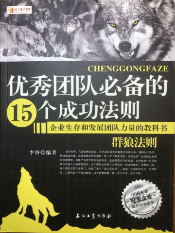 优秀团队必备的15个成功法则