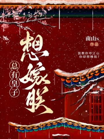 总有皇子想嫁朕