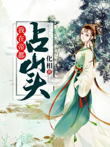 我在帝都占山头 封面