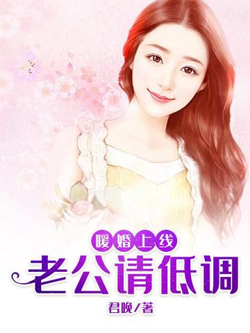 暖婚上线:老公,请低调 封面