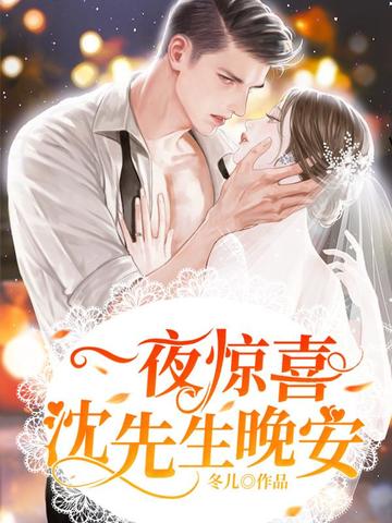 一夜惊喜：沈先生，晚安 封面