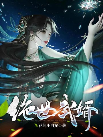 绝世武婿 封面