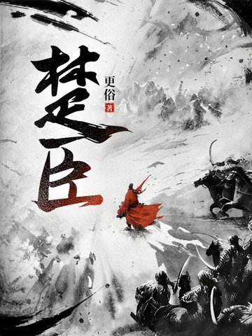 【图】DM5.0！宋PLUS DM