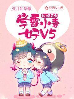 甜婚天定：学霸小妻好V5