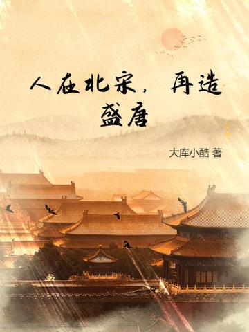 人在北宋，再造盛唐