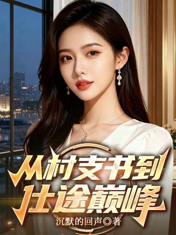 从村支书到仕途巅峰