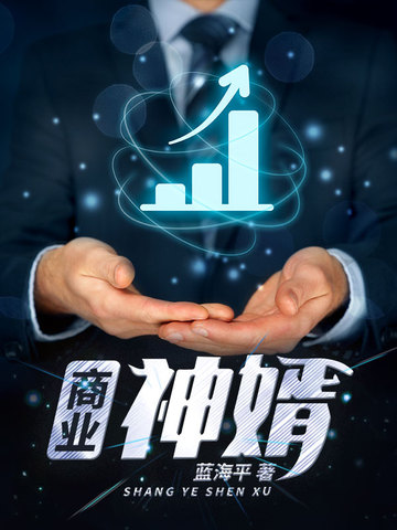 商业神婿