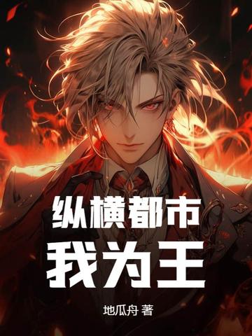 纵横都市我为王
