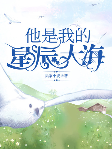他是我的星辰大海