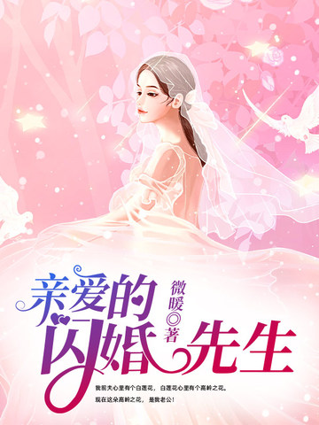 亲爱的闪婚先生