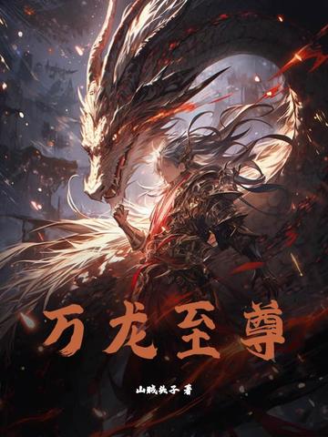 万龙至尊