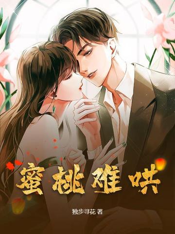 搜索引擎的网络营销功能可以分为哪三类