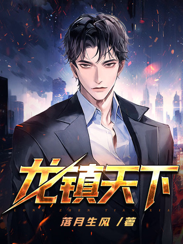 龙镇天下