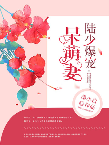 陆少爆宠呆萌妻