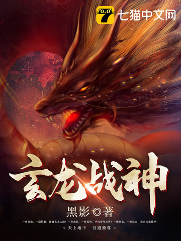玄龙战神免费阅读 沈龙轩 冷三娘 免费小说全文 作者 黑影 七猫中文网