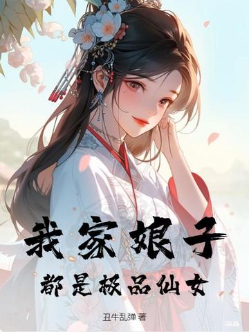 我家娘子都是极品仙女