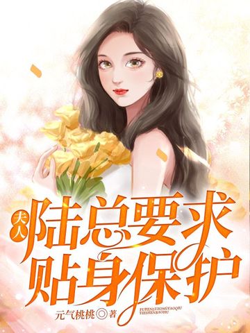 夫人，陆总要求贴身保护