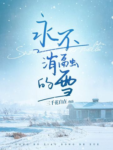 永不消融的雪