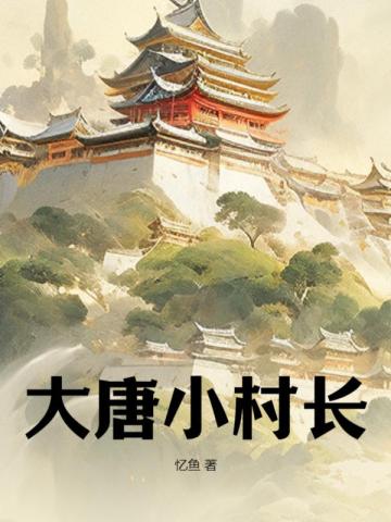 大唐小村长