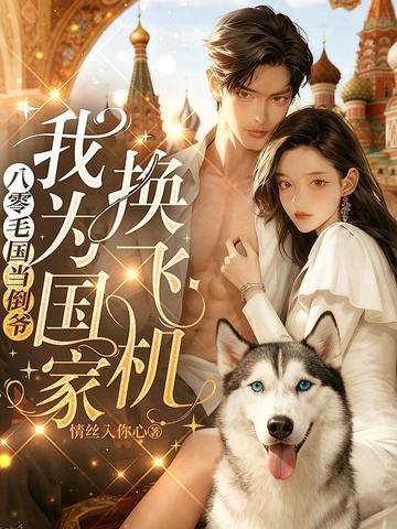 八零毛国当倒爷，我为国家换飞机