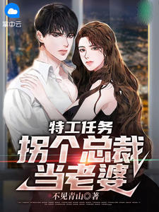 特工任务：拐个总裁当老婆 封面