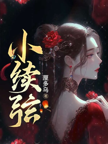 小续弦 封面