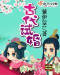 古代试婚 封面