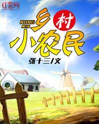 《乡村小农民》（校对全本）作者：张十三【TXT】