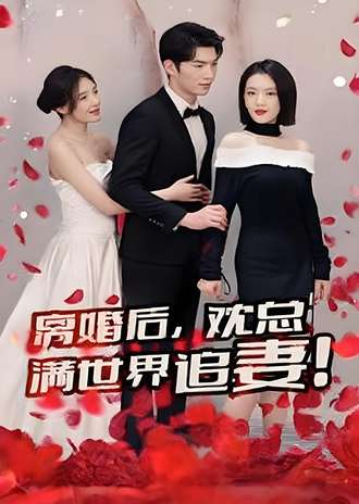 离婚后沈总满世界追妻}