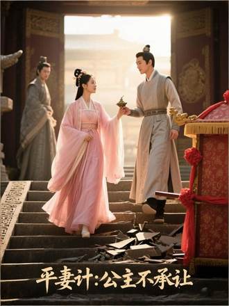 平妻计：公主不承让