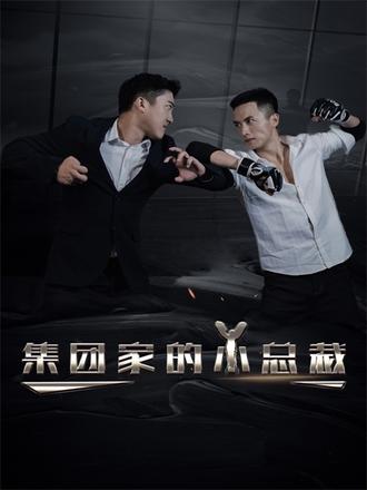 集团家的小总裁