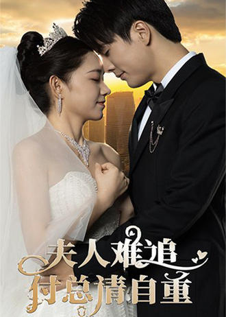 夫人难追付总请自重