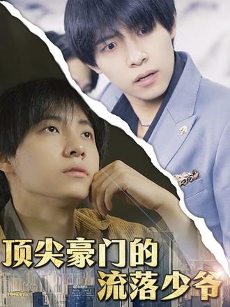 顶尖豪门的流落少爷