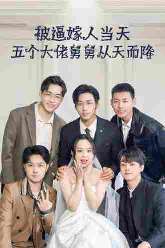 被逼嫁人当天五个大佬舅舅从天而降