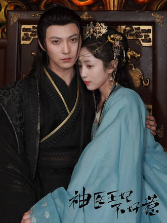 神医王妃不能惹