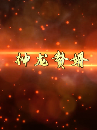 神龙赘婿封面图