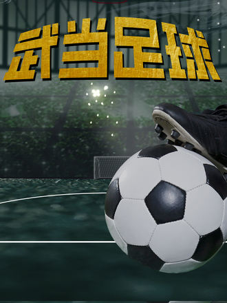 武当足球}