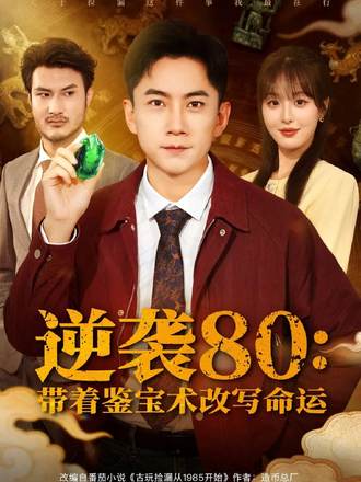 逆袭80带着鉴宝术改写命运