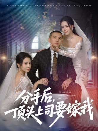 分手后顶头上司要嫁我