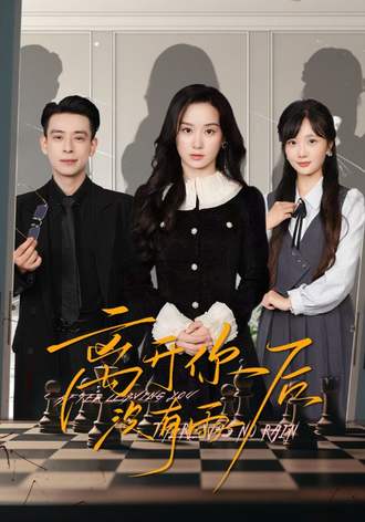 离开你后没有雨